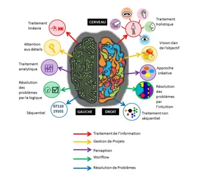 Visualisation et imagerie mentale dans l'Accompagnement Sophrologique